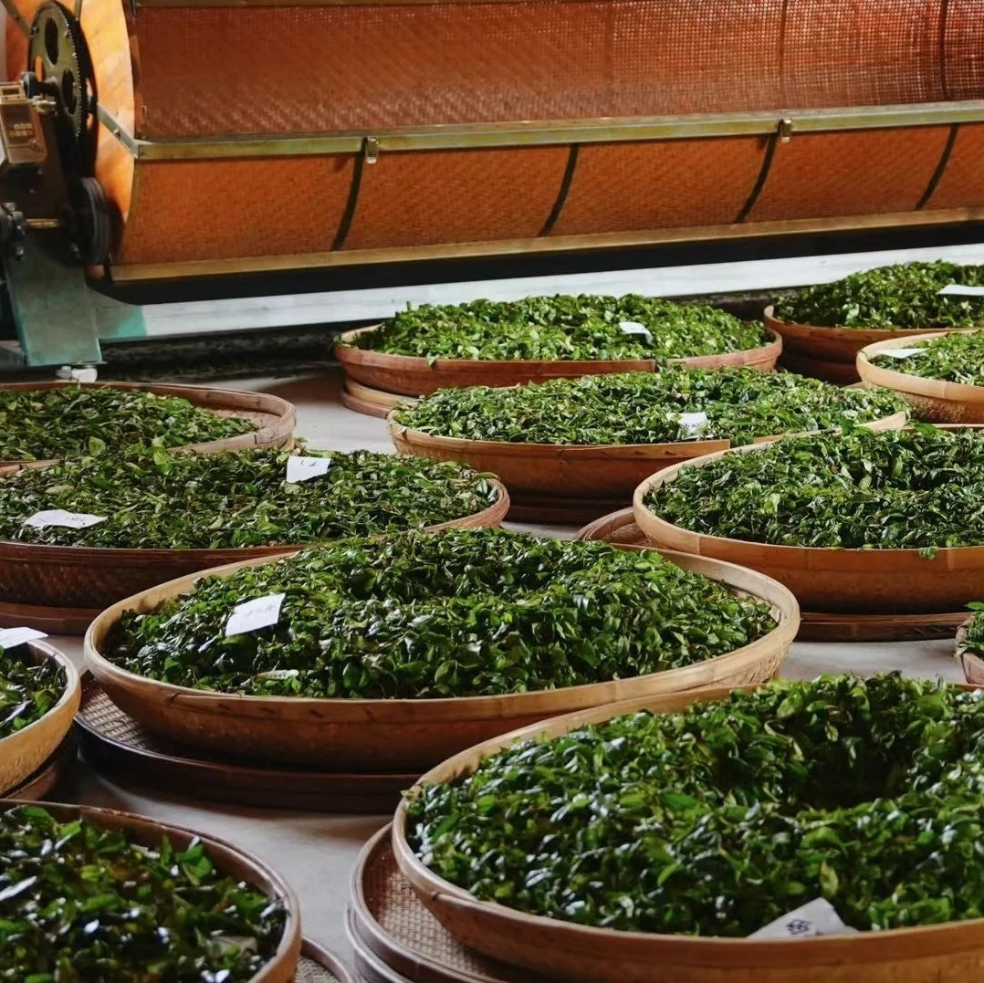 Decaf Oolong Tea | 脫咖烏龍茶